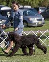 20180929-wc-0574