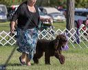 20180929-wc-0342