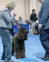 20190111-asc-0493