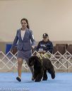 20190111-asc-0541