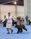 20190111-asc-0562