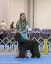 20190111-asc-0588