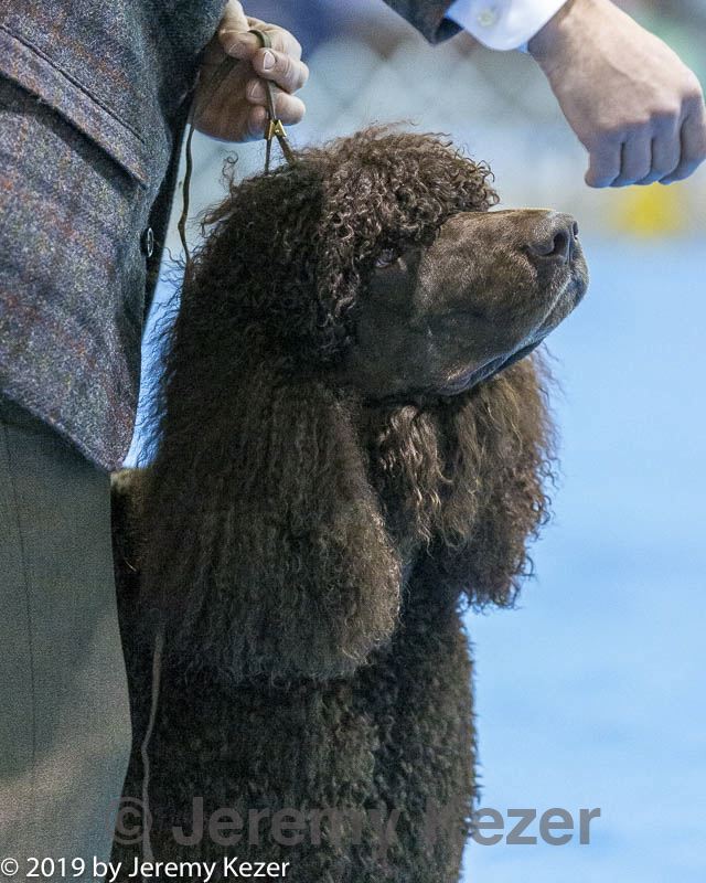 20190111-asc-0371.jpg