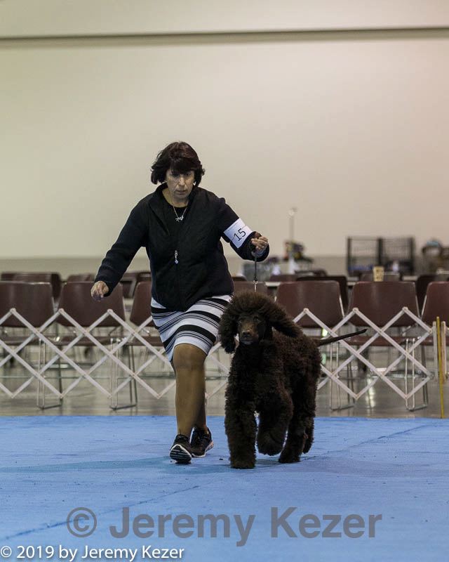 20190111-asc-0385.jpg