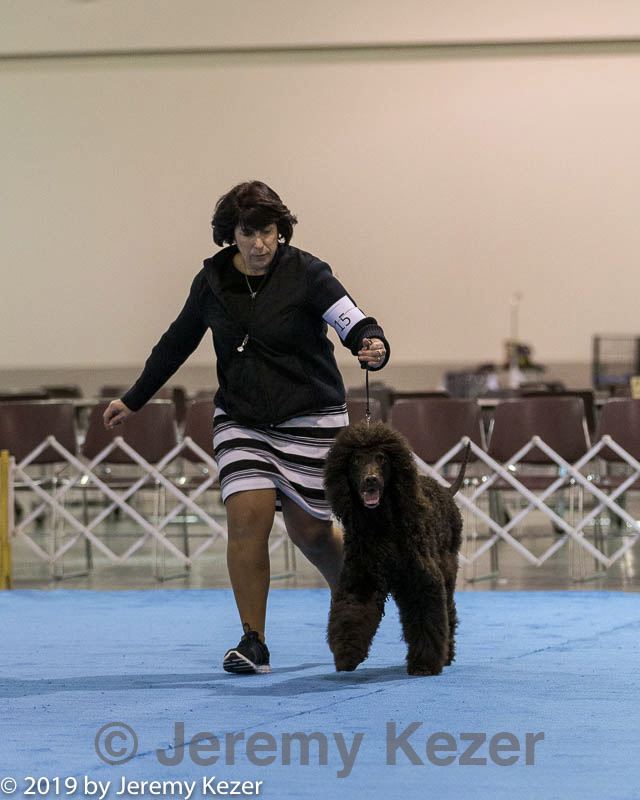 20190111-asc-0387.jpg