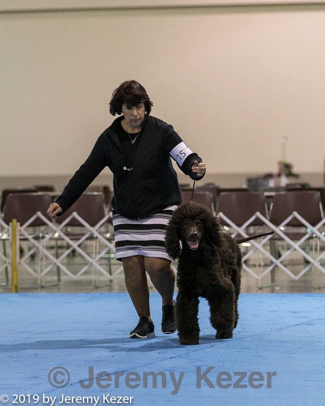 20190111-asc-0388.jpg