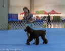 20190111-asc-0183