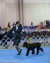 20190111-asc-0296
