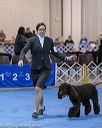 20190111-asc-0302