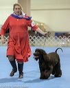 20190111-asc-0233