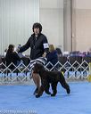 20190111-asc-0268
