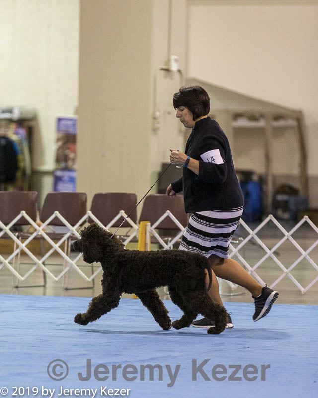 20190111-asc-0200.jpg