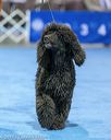 20190111-asc-0321
