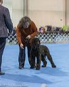 20190111-asc-0036