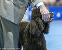 20190111-asc-0042