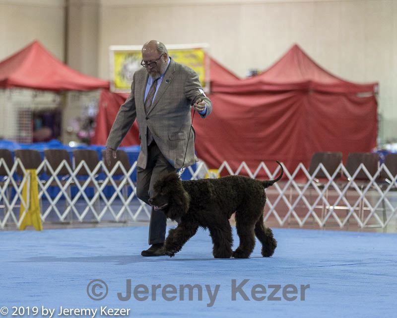 20190111-asc-0048.jpg