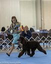 20190111-asc-0129