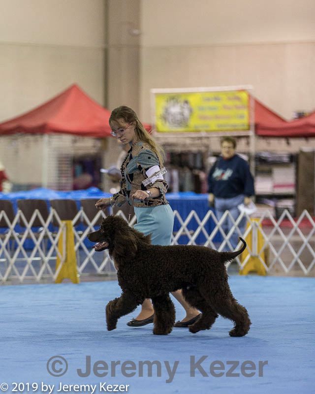 20190111-asc-0123.jpg