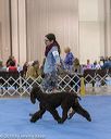 20190112-asc-0320