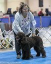 20190112-asc-0329