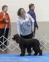 20190112-asc-0370