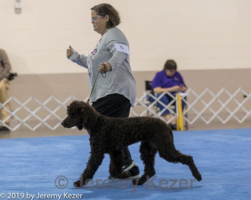 20190112-asc-0036.jpg