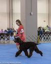 20190112-asc-0086