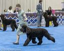 20190113-asc-0060