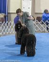 20190113-asc-0077