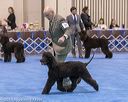 20190113-asc-0098