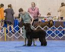 20190113-asc-0186