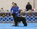 20190113-asc-0187