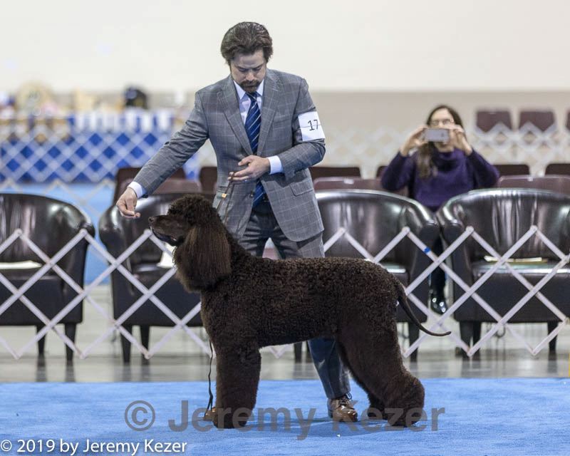 20190113-asc-0003.jpg