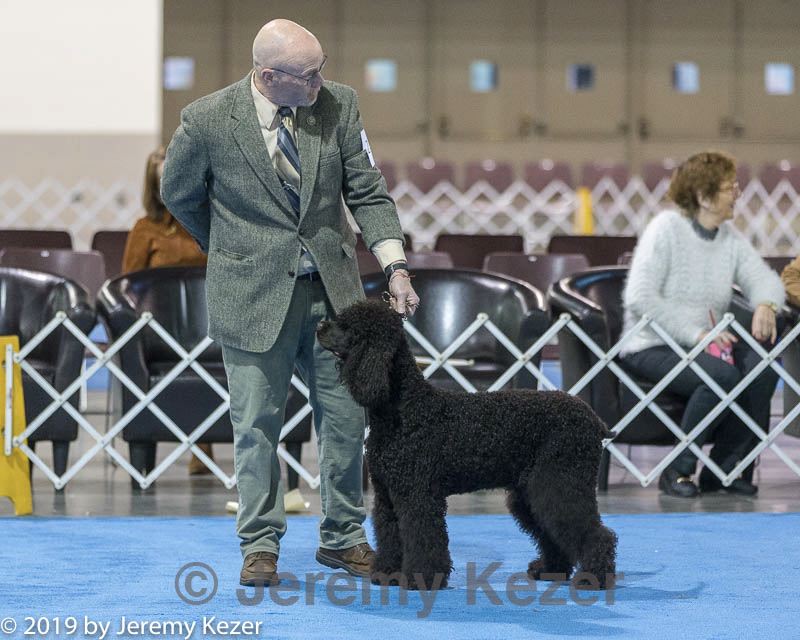 20190113-asc-0006.jpg