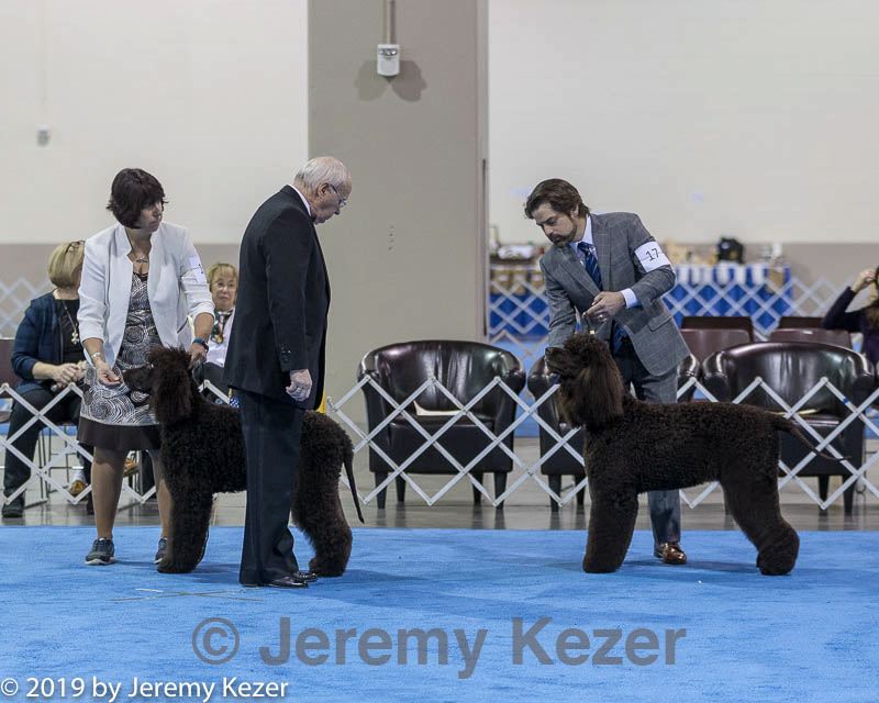 20190113-asc-0015.jpg