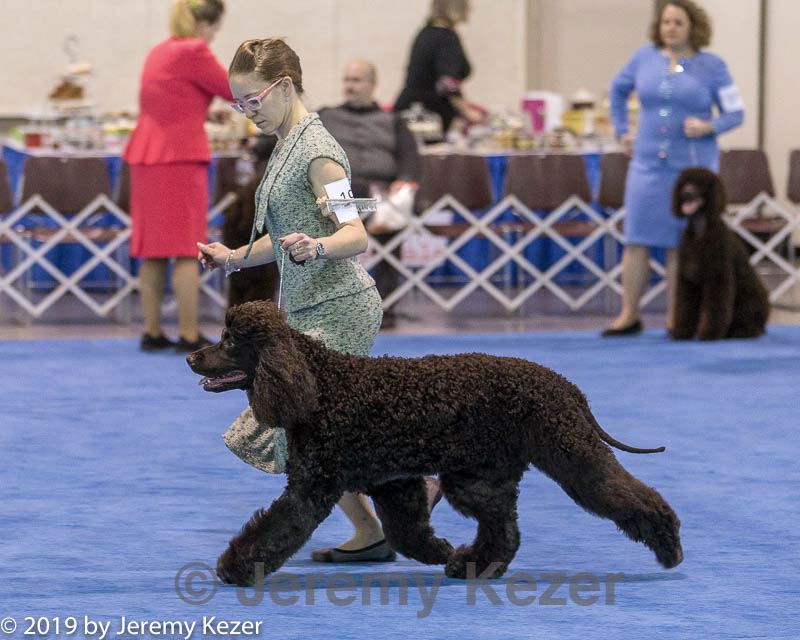 20190113-asc-0067.jpg