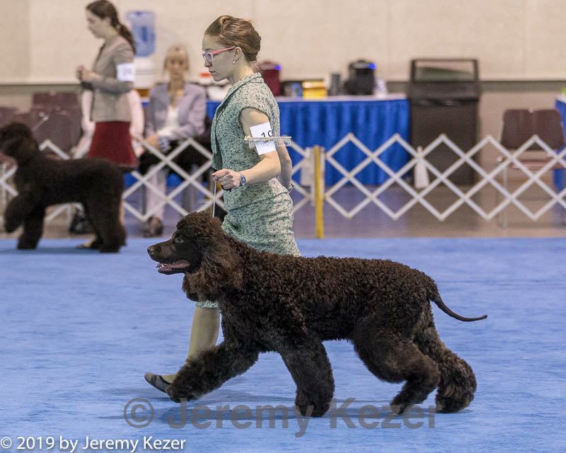 20190113-asc-0072.jpg