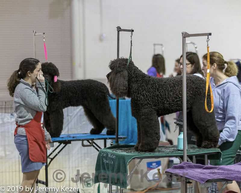 20190111-asc-0013.jpg