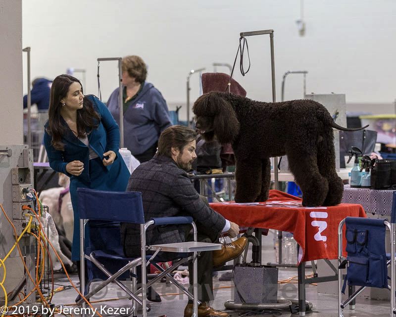 20190111-asc-0021.jpg