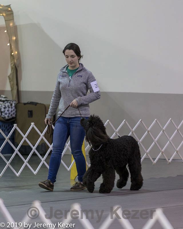 20190112-asc-0015.jpg