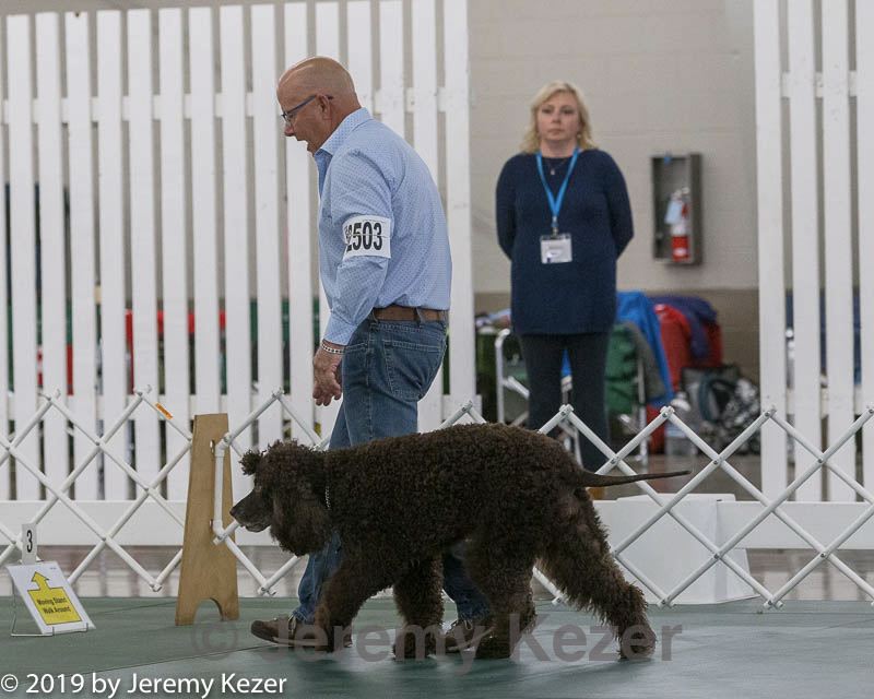 20190514-ra-0068.jpg