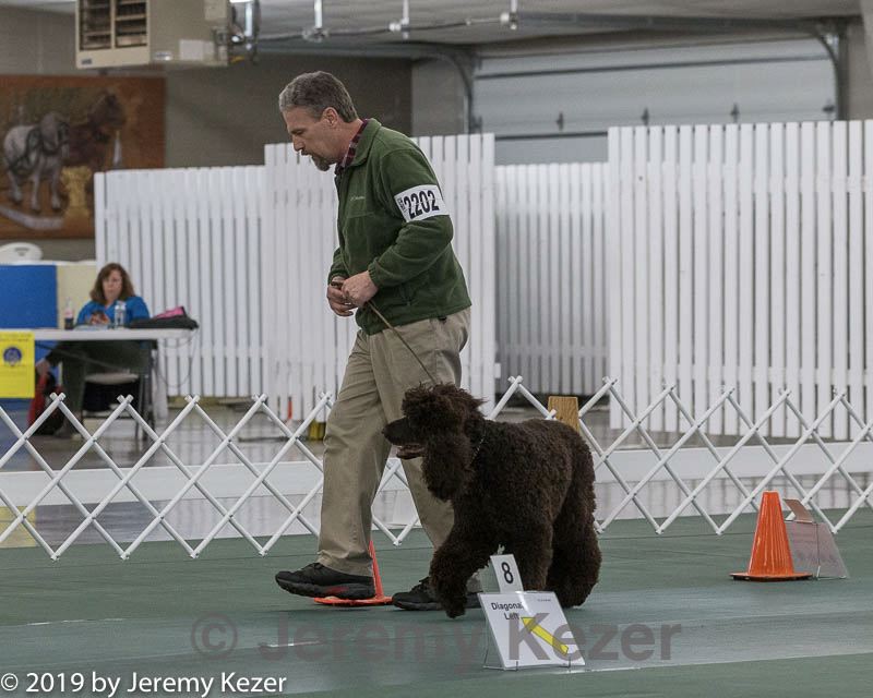 20190514-ra-0156.jpg