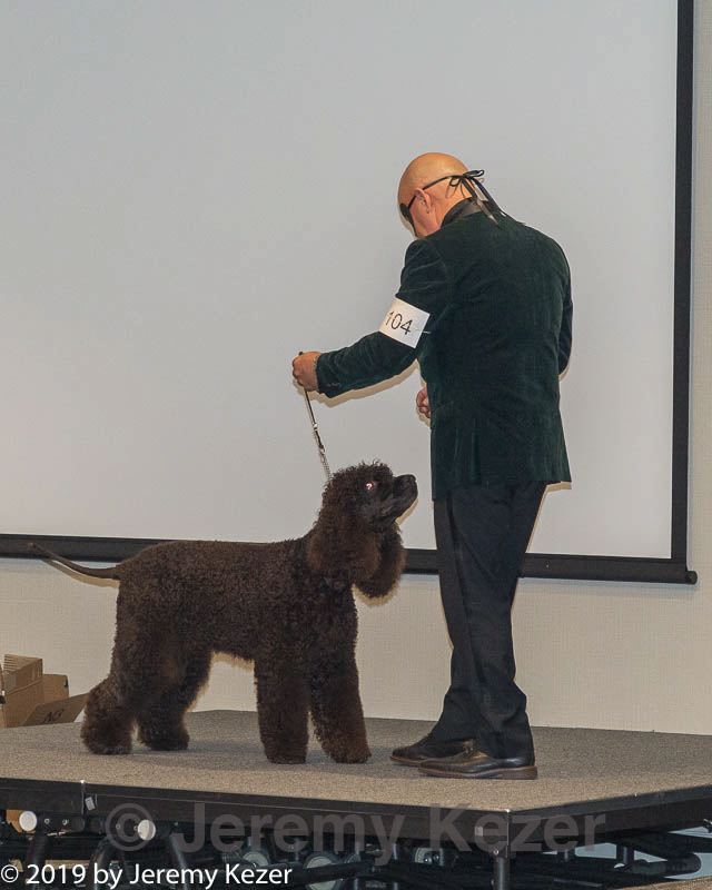 20190514-ten-0021.jpg