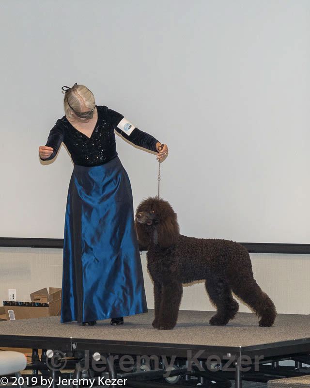 20190514-ten-0032.jpg