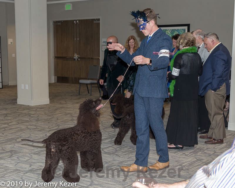 20190514-ten-0073.jpg