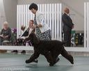 20190515-co-1286