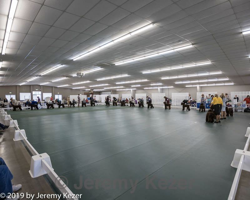 20190515-co-1150.jpg