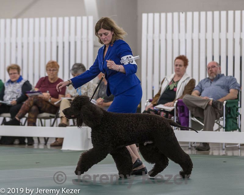 20190515-co-1238.jpg