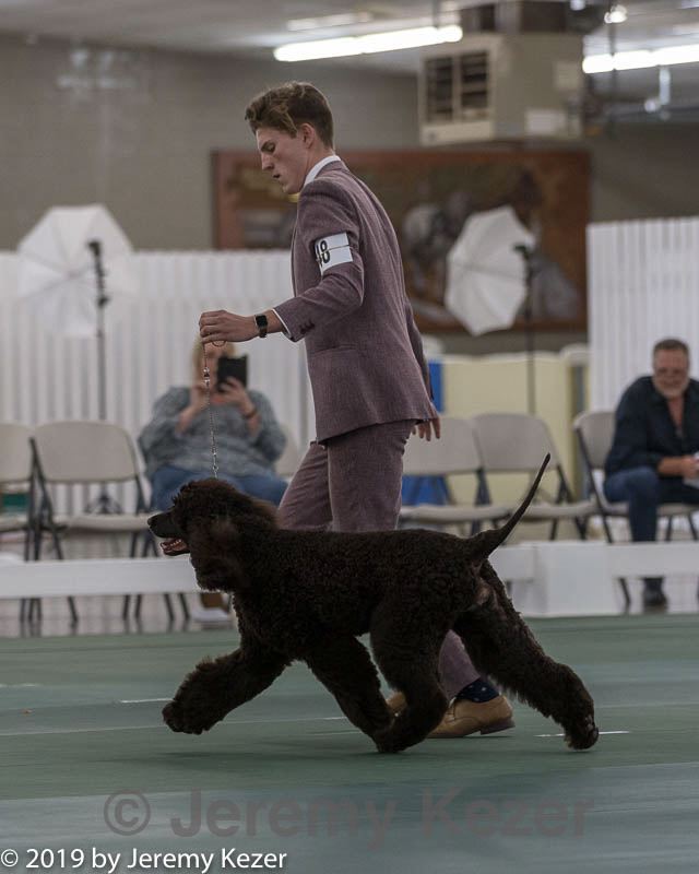 20190515-co-1443.jpg