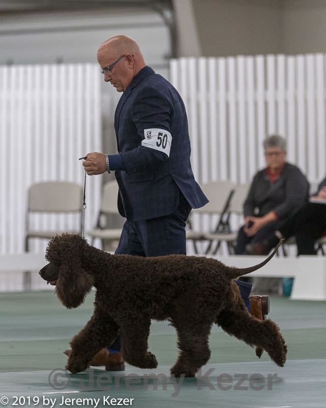 20190515-co-1476.jpg